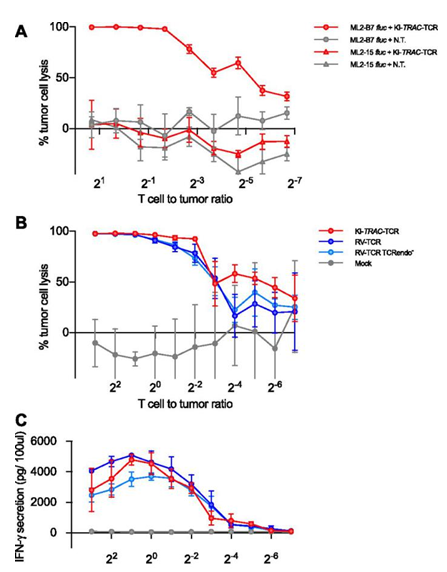 TCR Cell in vitro/in vivo Assays